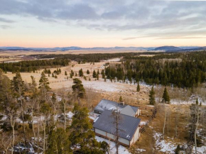 Fairplay Coyote Cabin